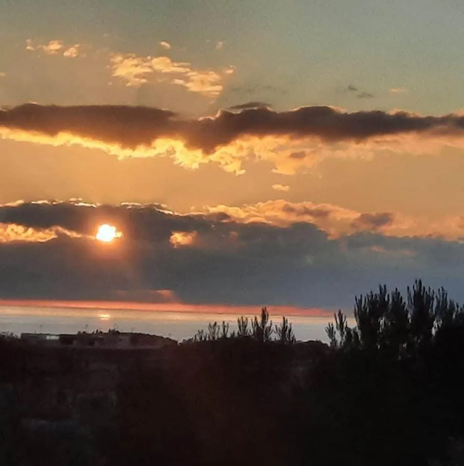 Sogno Mediterraneo Livorno